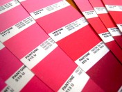 Pantone Colour